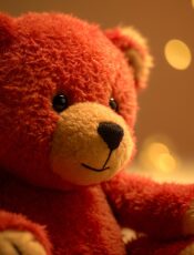 Dzień pluszowego Misia