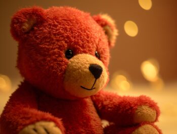 Dzień pluszowego Misia