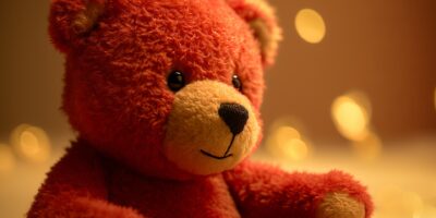 Dzień pluszowego Misia